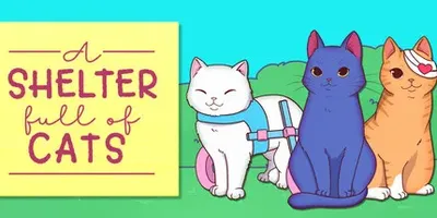 A Shelter Full of Cats