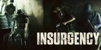 Insurgency