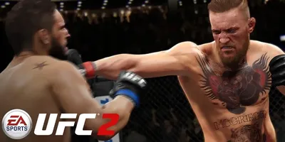 UFC 2