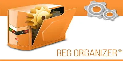 REG ORGANIZER 9.11