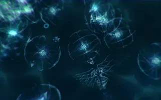 Sparkle ZERO
