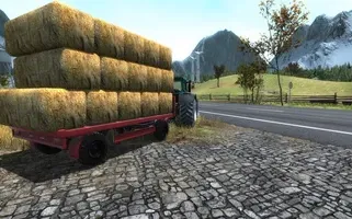 Professional Farmer 2017