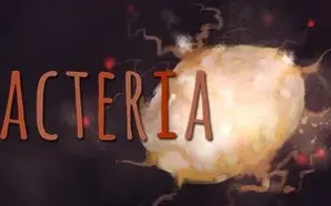 Bacteria