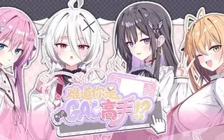 Could You Be a Gal Master? (难道你是GAL高手)