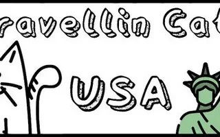 Travellin Cats in USA
