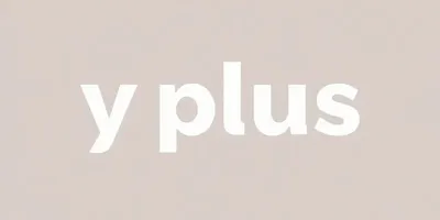 y plus