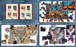 1001 Jigsaw