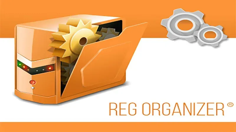 REG ORGANIZER 9.11