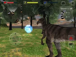 Raptor Evolution