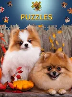 Puppies Jigsaw Puzzles