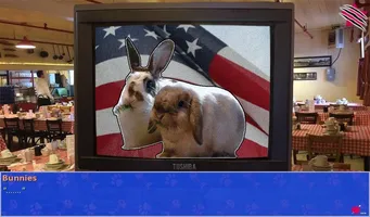 Cat President ~A More Purrfect Union~