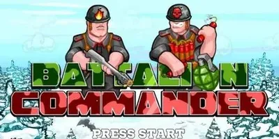 Battalion Commander