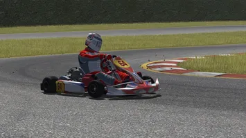 Kart Racing Pro