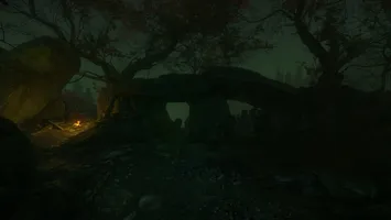 The Cursed Forest
