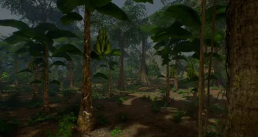 Journey Of Life