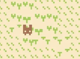 Whitethorn