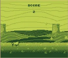 Sheep Run