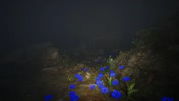 Misty Onsen