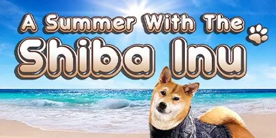 A Summer with the Shiba Inu