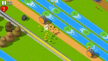Road Crossing