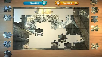 Puzzle Book