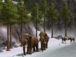 Wildlife Park 2