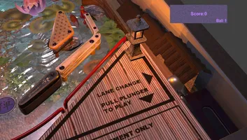 Pinball Lockdown