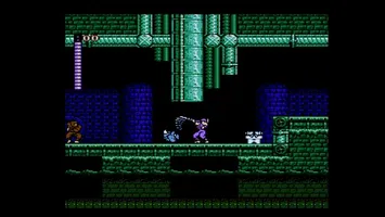 Shadow of the Ninja