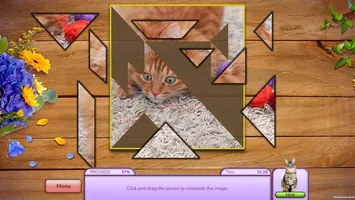 I Love Finding Cats