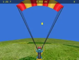 Skydiving Fever