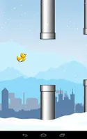 Duck Run