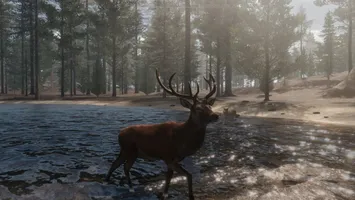The WILDS