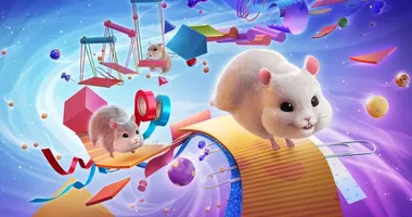 Hamster Playground