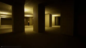 SKIBIDI BACKROOMS