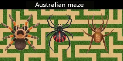 Australian maze