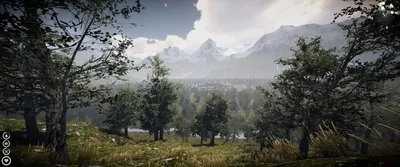 Survive or Die