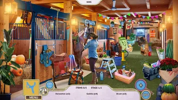 Sweet Home: Look and Find Collector's Edition