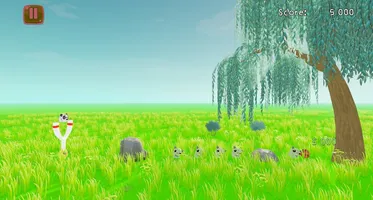 Valkeala Birds