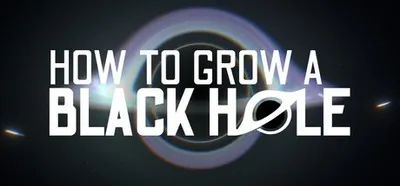 How To Grow a Black Hole