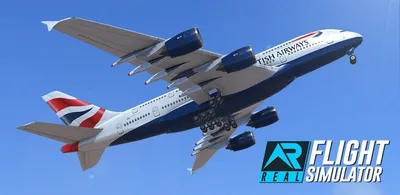 Real Flight Simulator (RFS)