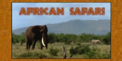 African Safari