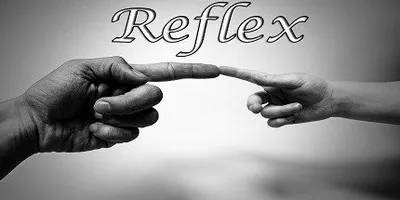 Reflex