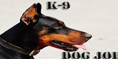 K-9 Dog Job